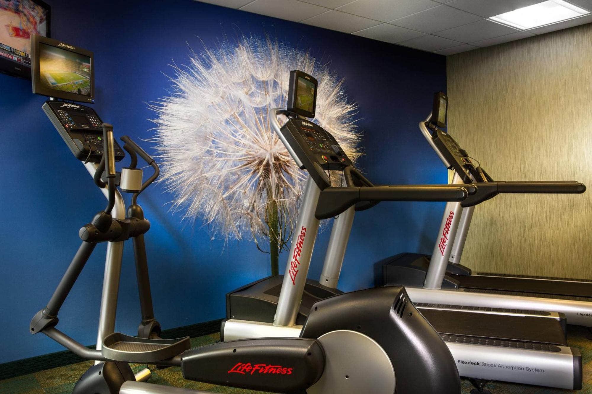 Springhill Suites Dallas Dfw Airport North/Grapevine Eksteriør bilde